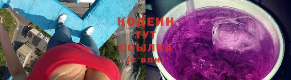 хмурый Осинники