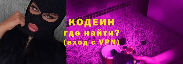 хмурый Осинники