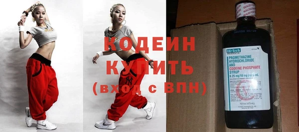 хмурый Осинники