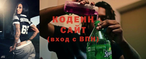 хмурый Осинники