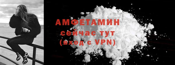 хмурый Осинники