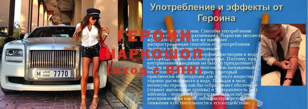 дживик Няндома