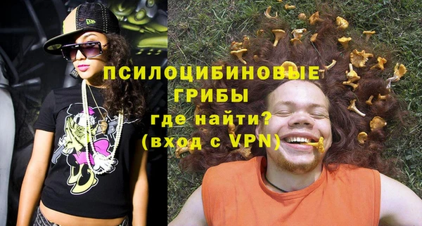 хмурый Осинники