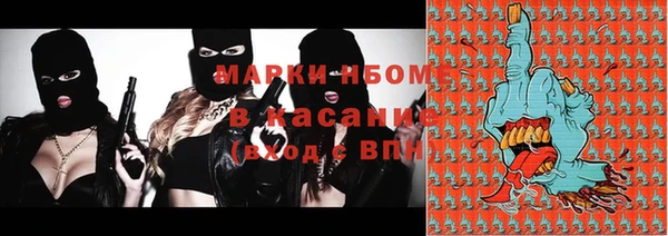 хмурый Осинники
