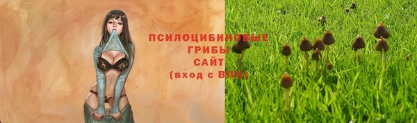spice Осташков
