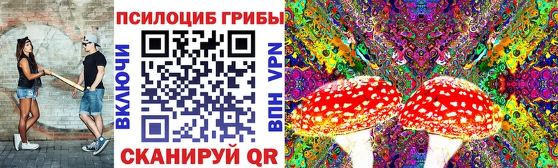 Псилоцибиновые грибы мицелий  darknet телеграм  Спасск-Рязанский  mega ТОР 